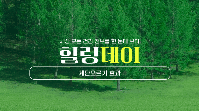 계단오르기 효과는? 체력 증진과 심혈관, 다리 근력, 체중 감량