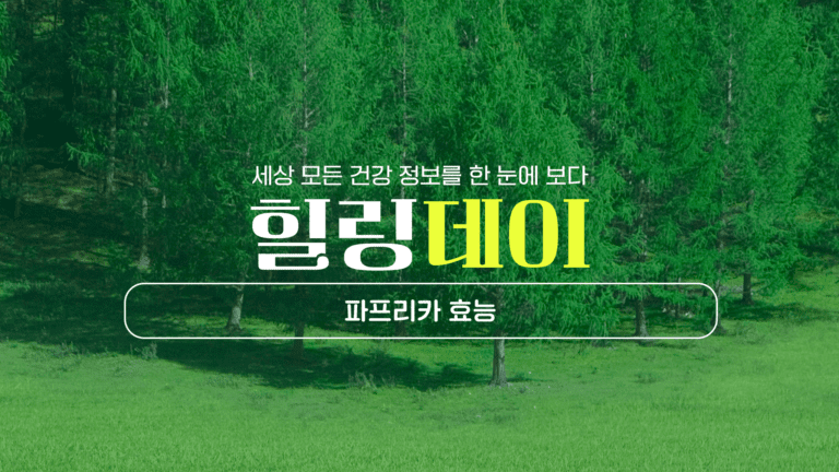 파프리카 효능 : 피부와 눈, 항산화, 면역력 챙기기