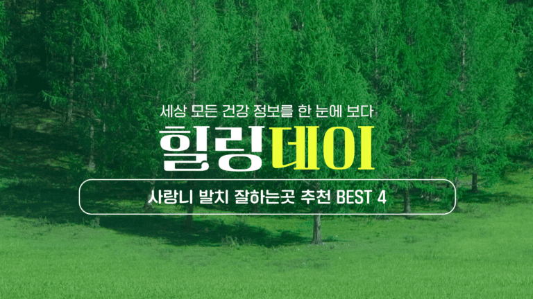 일산 사랑니 발치 잘하는곳 추천 BEST 4｜치과전문의, 상담 비용, 진료 가격, 야간 진료, 보철 종류