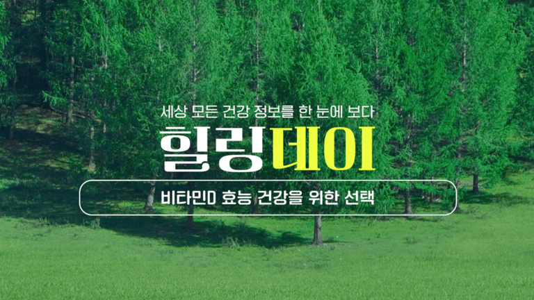 비타민D 효능, 필수 영양소에 대한 모든 것