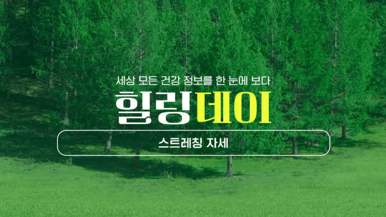 스트레칭 자세 올바른 방법으로 지금 시작하세요