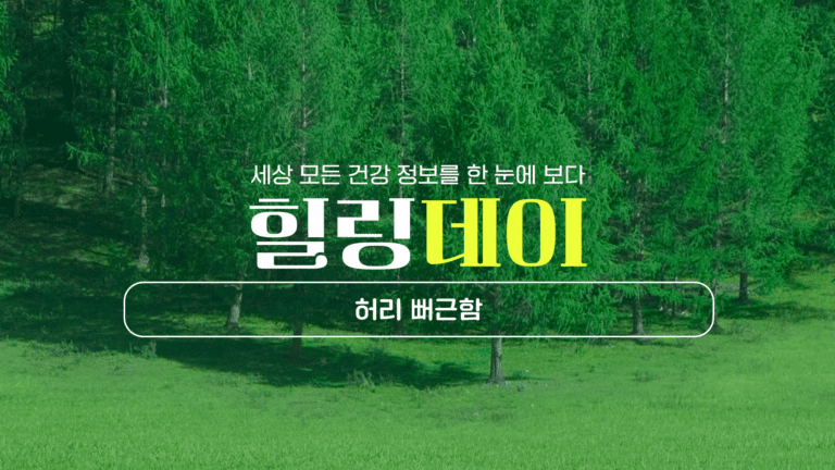 허리 뻐근함 원인부터 제대로 된 관리 방법까지!